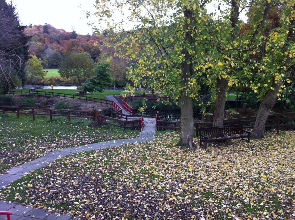 Ashton House Hotel Avoca Exterior foto